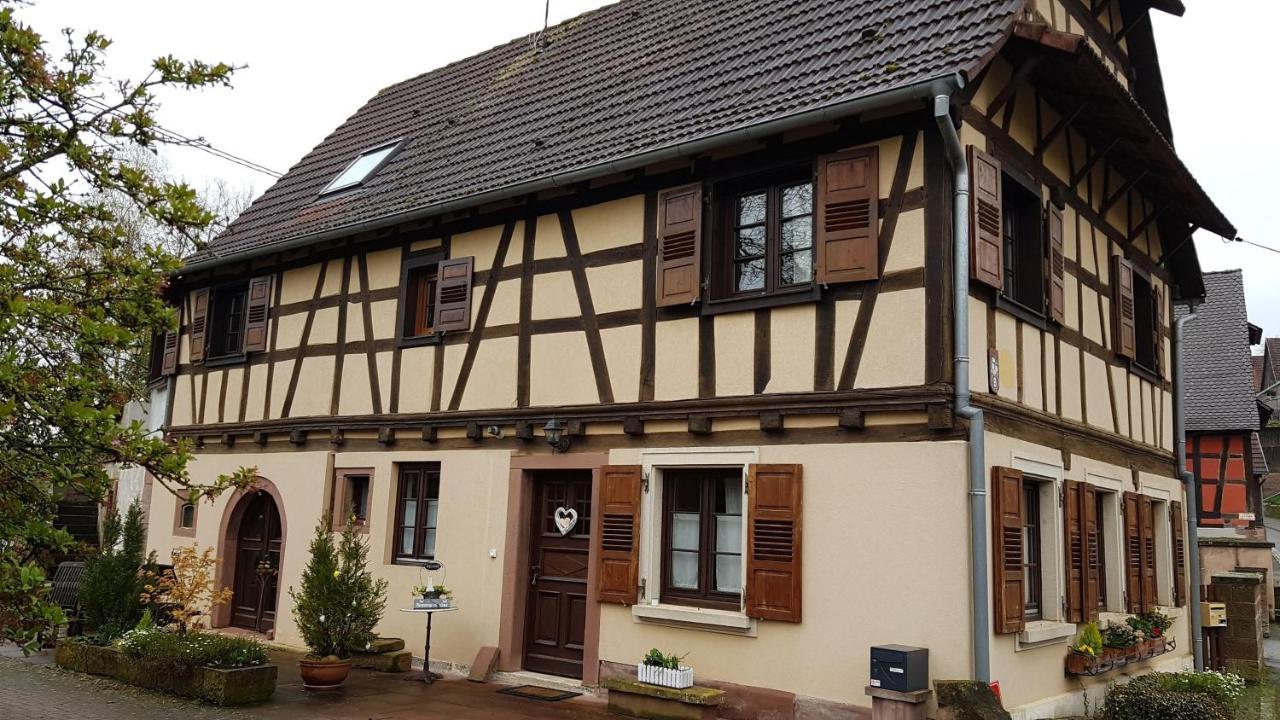 Gite A La Petite Fontaine-Plain Pied-Maison Alsacienne Renovee Avec Passion-4 Pers-4Nuitees Minimum Langensoultzbach Dış mekan fotoğraf