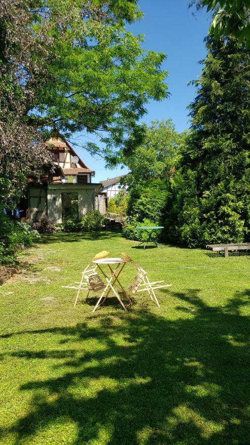 Gite A La Petite Fontaine-Plain Pied-Maison Alsacienne Renovee Avec Passion-4 Pers-4Nuitees Minimum Langensoultzbach Dış mekan fotoğraf