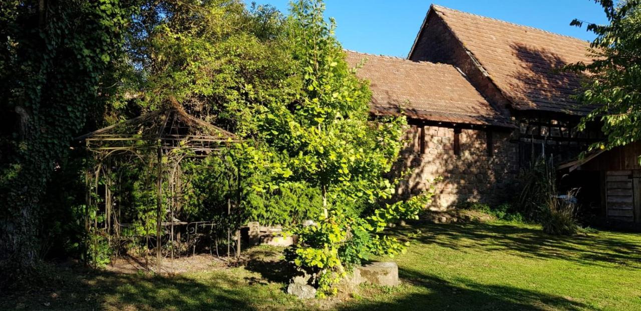 Gite A La Petite Fontaine-Plain Pied-Maison Alsacienne Renovee Avec Passion-4 Pers-4Nuitees Minimum Langensoultzbach Dış mekan fotoğraf