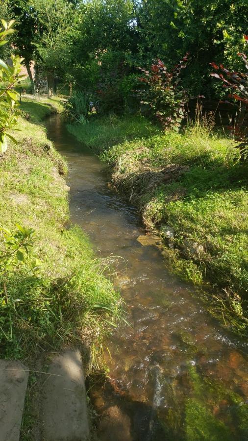 Gite A La Petite Fontaine-Plain Pied-Maison Alsacienne Renovee Avec Passion-4 Pers-4Nuitees Minimum Langensoultzbach Dış mekan fotoğraf