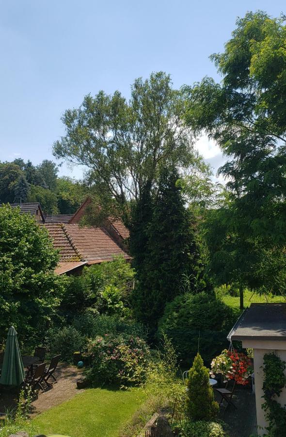 Gite A La Petite Fontaine-Plain Pied-Maison Alsacienne Renovee Avec Passion-4 Pers-4Nuitees Minimum Langensoultzbach Dış mekan fotoğraf