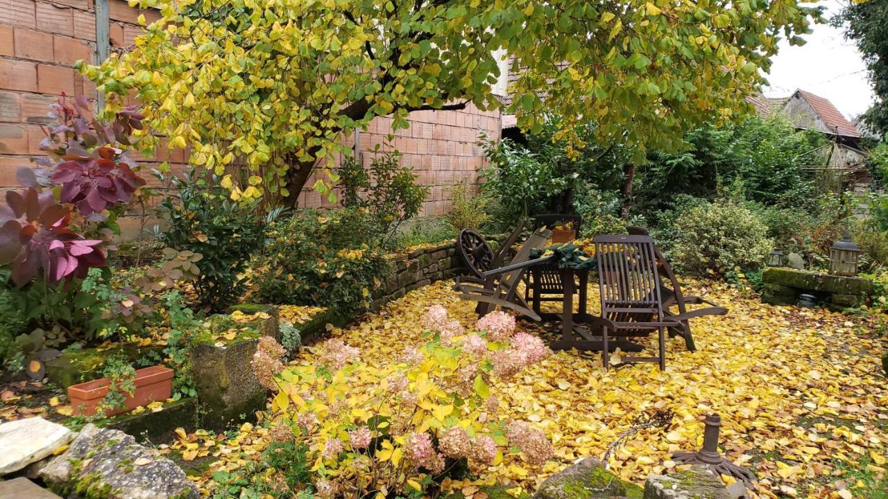 Gite A La Petite Fontaine-Plain Pied-Maison Alsacienne Renovee Avec Passion-4 Pers-4Nuitees Minimum Langensoultzbach Dış mekan fotoğraf