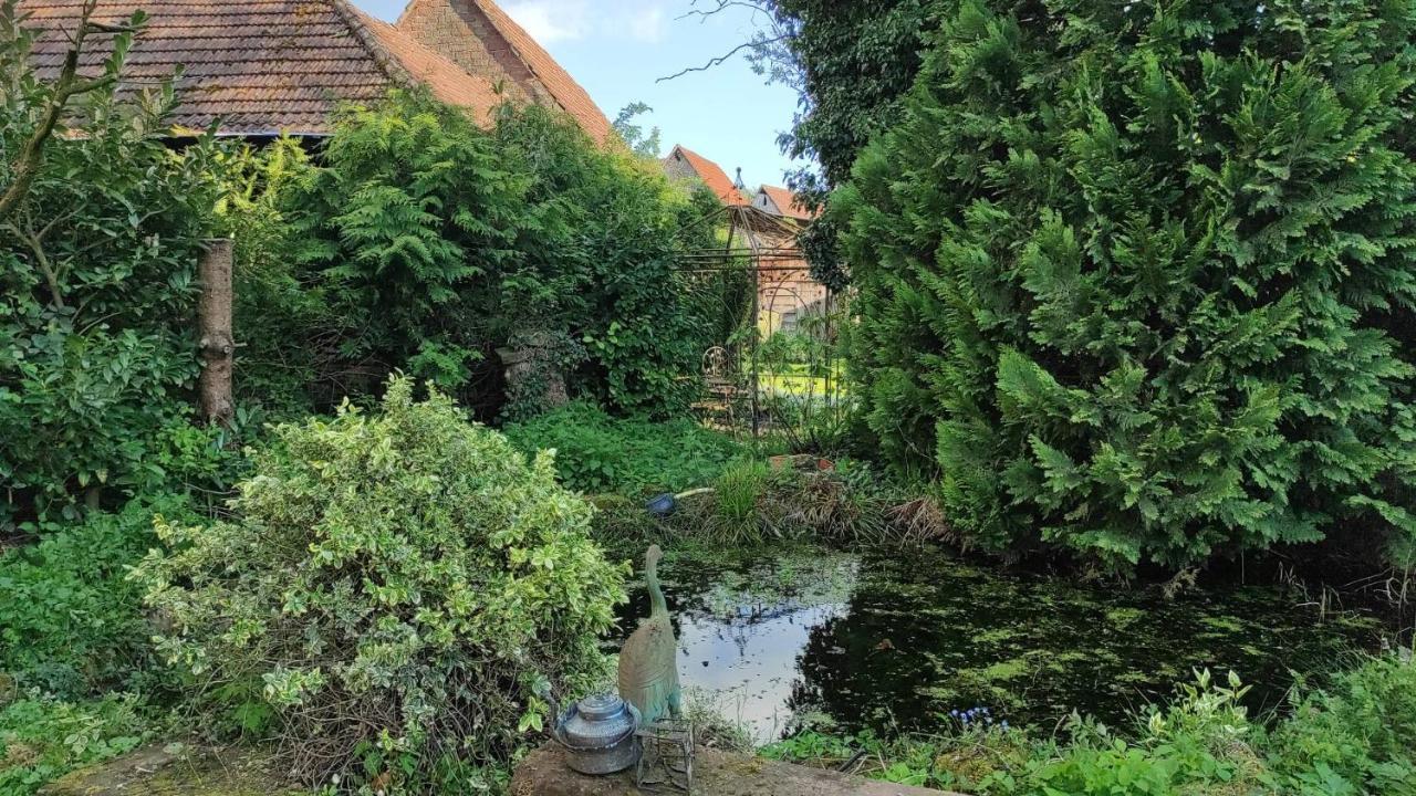 Gite A La Petite Fontaine-Plain Pied-Maison Alsacienne Renovee Avec Passion-4 Pers-4Nuitees Minimum Langensoultzbach Dış mekan fotoğraf