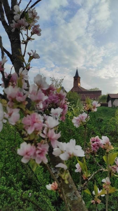 Gite A La Petite Fontaine-Plain Pied-Maison Alsacienne Renovee Avec Passion-4 Pers-4Nuitees Minimum Langensoultzbach Dış mekan fotoğraf