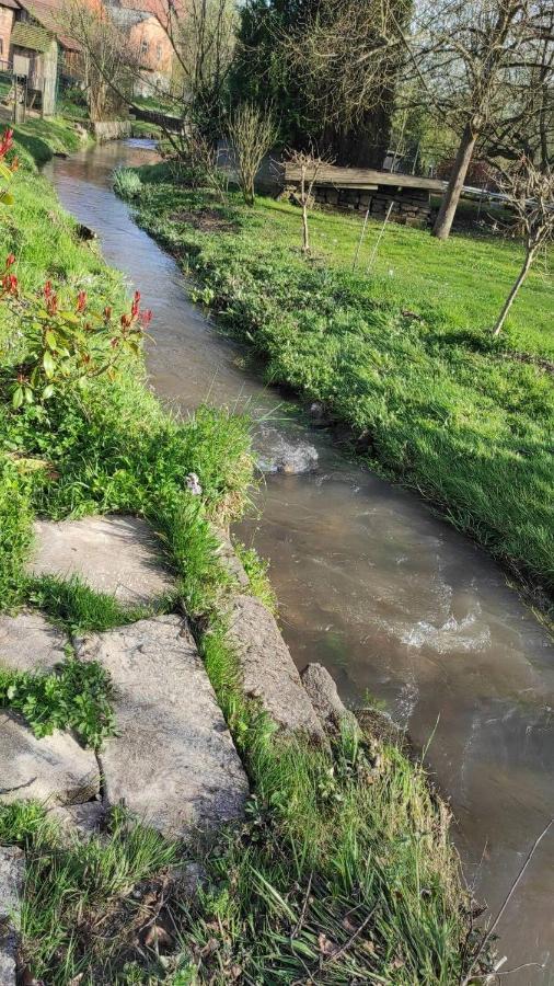 Gite A La Petite Fontaine-Plain Pied-Maison Alsacienne Renovee Avec Passion-4 Pers-4Nuitees Minimum Langensoultzbach Dış mekan fotoğraf
