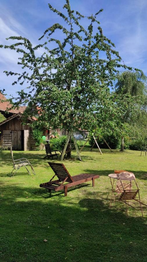 Gite A La Petite Fontaine-Plain Pied-Maison Alsacienne Renovee Avec Passion-4 Pers-4Nuitees Minimum Langensoultzbach Dış mekan fotoğraf
