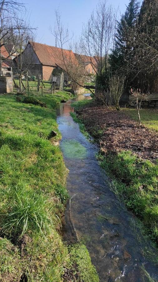 Gite A La Petite Fontaine-Plain Pied-Maison Alsacienne Renovee Avec Passion-4 Pers-4Nuitees Minimum Langensoultzbach Dış mekan fotoğraf